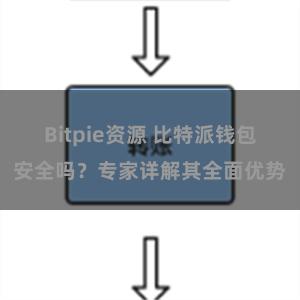 Bitpie资源 比特派钱包安全吗？专家详解其全面优势