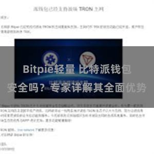 Bitpie轻量 比特派钱包安全吗？专家详解其全面优势