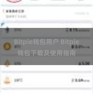 Bitpie钱包用户 Bitpie钱包下载及使用指南