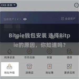 Bitpie钱包安装 选择Bitpie的原因，你知道吗？