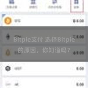 Bitpie支付 选择Bitpie的原因，你知道吗？