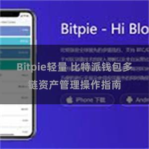 Bitpie轻量 比特派钱包多链资产管理操作指南