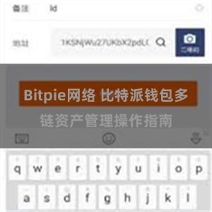 Bitpie网络 比特派钱包多链资产管理操作指南