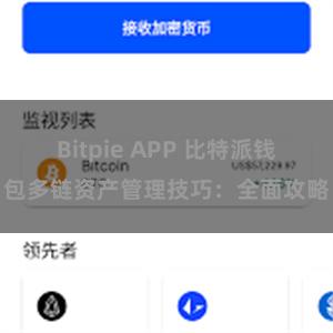 Bitpie APP 比特派钱包多链资产管理技巧：全面攻略