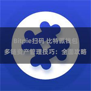 Bitpie扫码 比特派钱包多链资产管理技巧：全面攻略