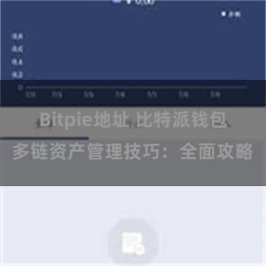 Bitpie地址 比特派钱包多链资产管理技巧：全面攻略