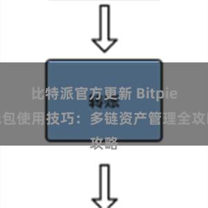 比特派官方更新 Bitpie钱包使用技巧：多链资产管理全攻略