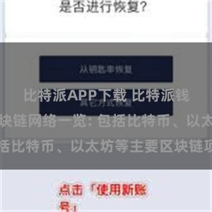 比特派APP下载 比特派钱包支持的区块链网络一览: 包括比特币、以太坊等主要区块链项目