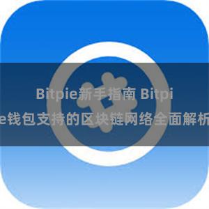 Bitpie新手指南 Bitpie钱包支持的区块链网络全面解析