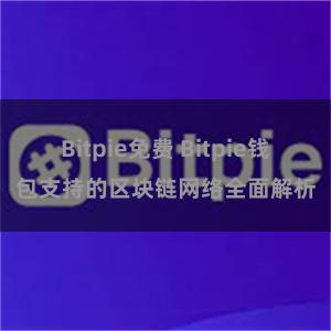 Bitpie免费 Bitpie钱包支持的区块链网络全面解析