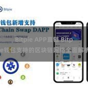 Bitpie APP直链 Bitpie钱包支持的区块链网络全面解析