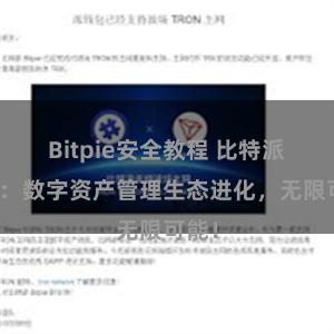 Bitpie安全教程 比特派钱包：数字资产管理生态进化，无限可能！