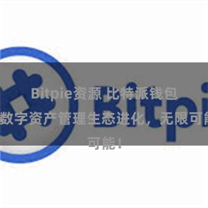 Bitpie资源 比特派钱包：数字资产管理生态进化，无限可能！