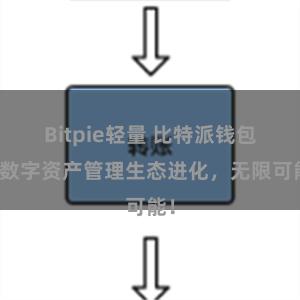 Bitpie轻量 比特派钱包：数字资产管理生态进化，无限可能！