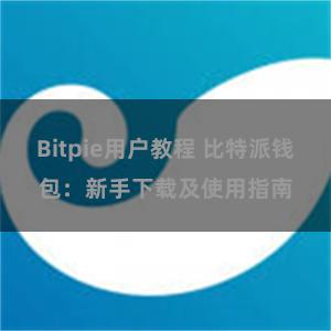 Bitpie用户教程 比特派钱包：新手下载及使用指南