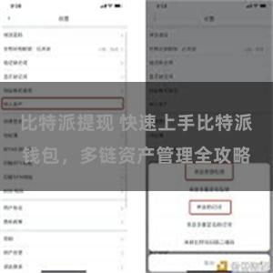 比特派提现 快速上手比特派钱包，多链资产管理全攻略