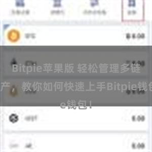 Bitpie苹果版 轻松管理多链资产，教你如何快速上手Bitpie钱包！