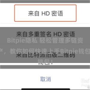 Bitpie隐私 轻松管理多链资产，教你如何快速上手Bitpie钱包！