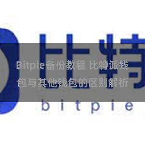 Bitpie备份教程 比特派钱包与其他钱包的区别解析