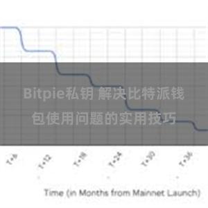 Bitpie私钥 解决比特派钱包使用问题的实用技巧