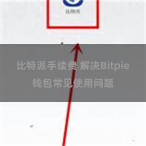 比特派手续费 解决Bitpie钱包常见使用问题