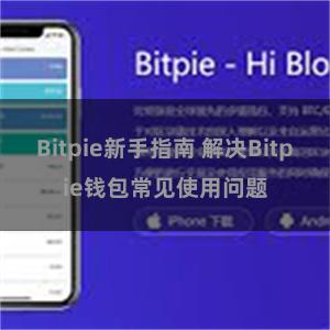 Bitpie新手指南 解决Bitpie钱包常见使用问题