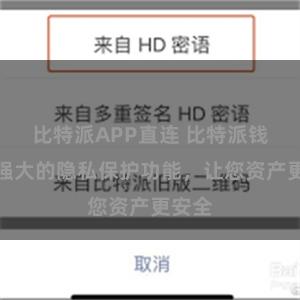 比特派APP直连 比特派钱包：强大的隐私保护功能，让您资产更安全