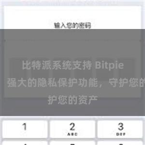 比特派系统支持 Bitpie钱包：强大的隐私保护功能，守护您的资产