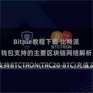 Bitpie教程下载 比特派钱包支持的主要区块链网络解析