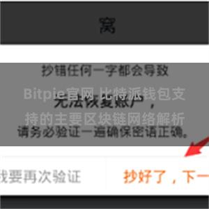 Bitpie官网 比特派钱包支持的主要区块链网络解析