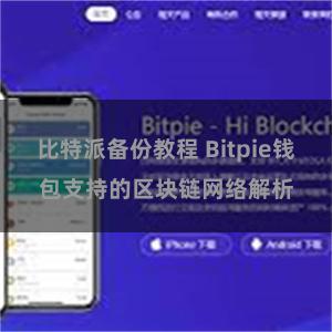 比特派备份教程 Bitpie钱包支持的区块链网络解析