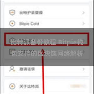 比特派备份教程 Bitpie钱包支持的区块链网络解析