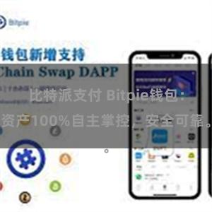 比特派支付 Bitpie钱包：资产100%自主掌控，安全可靠。