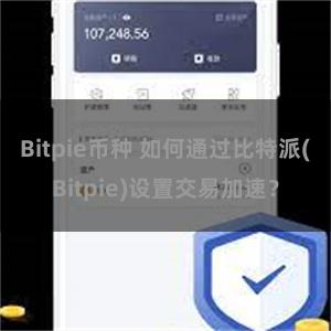 Bitpie币种 如何通过比特派(Bitpie)设置交易加速？