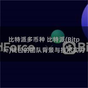 比特派多币种 比特派(Bitpie)钱包的团队背景与技术实力