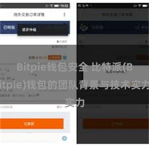 Bitpie钱包安全 比特派(Bitpie)钱包的团队背景与技术实力