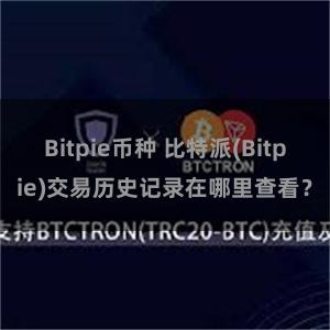 Bitpie币种 比特派(Bitpie)交易历史记录在哪里查看？