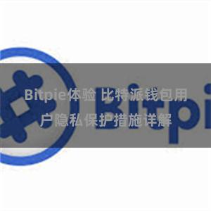 Bitpie体验 比特派钱包用户隐私保护措施详解