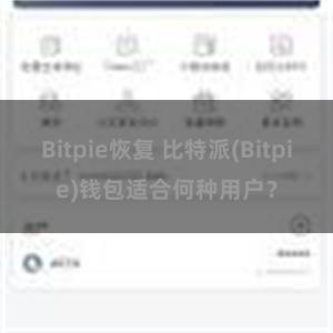 Bitpie恢复 比特派(Bitpie)钱包适合何种用户？