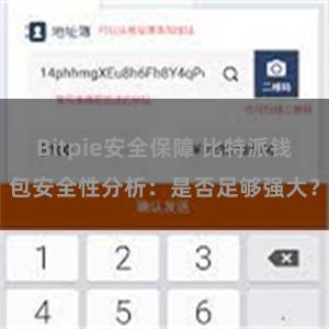 Bitpie安全保障 比特派钱包安全性分析：是否足够强大？