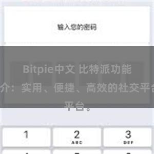 Bitpie中文 比特派功能简介：实用、便捷、高效的社交平台。