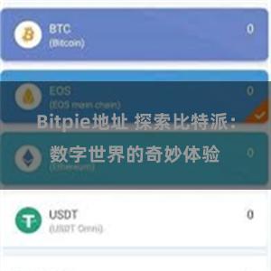 Bitpie地址 探索比特派：数字世界的奇妙体验