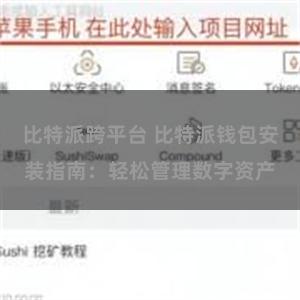比特派跨平台 比特派钱包安装指南：轻松管理数字资产