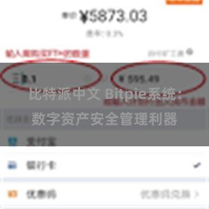 比特派中文 Bitpie系统：数字资产安全管理利器