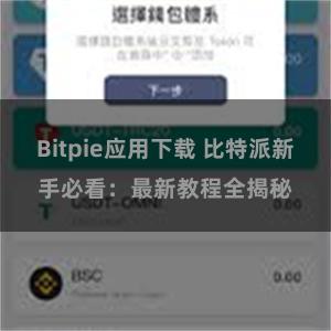 Bitpie应用下载 比特派新手必看：最新教程全揭秘
